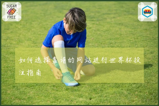如何选择靠谱的网站进行世界杯投注指南