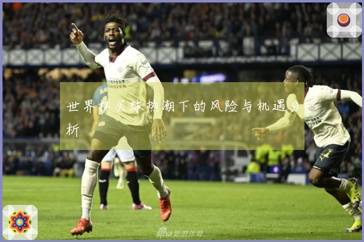 世界杯买球热潮下的风险与机遇分析