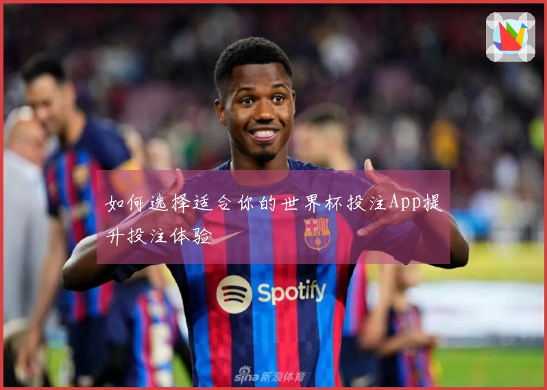 如何选择适合你的世界杯投注App提升投注体验