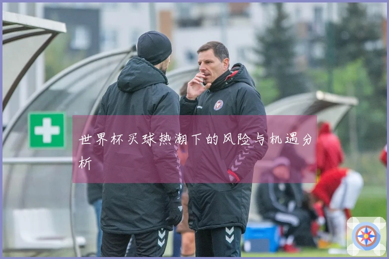 世界杯买球热潮下的风险与机遇分析